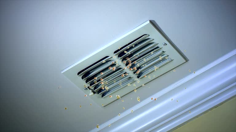 Best Residential Air Duct Cleaning  in Roseville, CA
